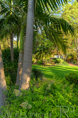 September 2023 / Springbank-Island_230928_Z9C2787