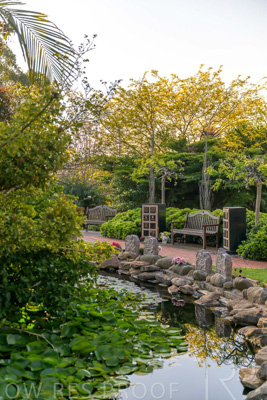 September 2023 / Springbank-Island_230928_Z9C2802