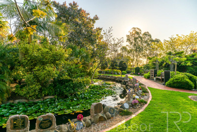 September 2023 / Springbank-Island_230928_Z9C2817