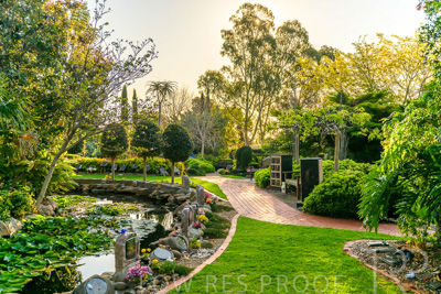 September 2023 / Springbank-Island_230928_Z9C2826