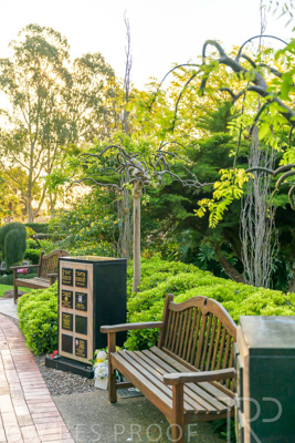 September 2023 / Springbank-Island_230928_Z9C2829