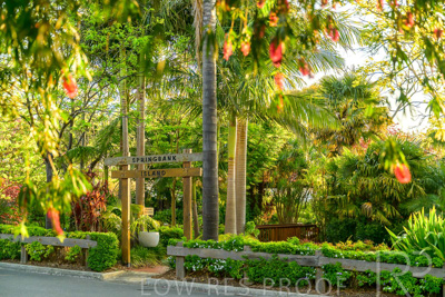 September 2023 / Springbank-Island_230928_Z9C2835