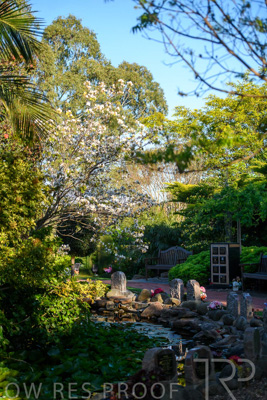 October 2023 / Springbank-Island_231011_85E2697