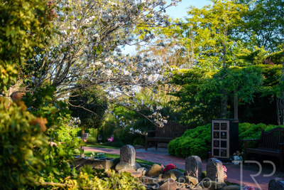 October 2023 / Springbank-Island_231011_85E2703