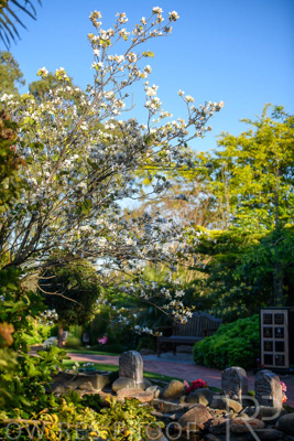 October 2023 / Springbank-Island_231011_85E2706