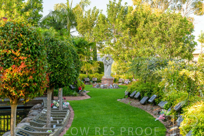 October 2023 / Springbank-Island_231011_Z9C9625