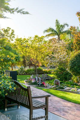 October 2023 / Springbank-Island_231011_Z9C9646