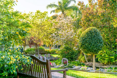 October 2023 / Springbank-Island_231011_Z9C9652