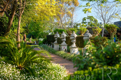 September 2023 / Springbank-West_230928_85E2159