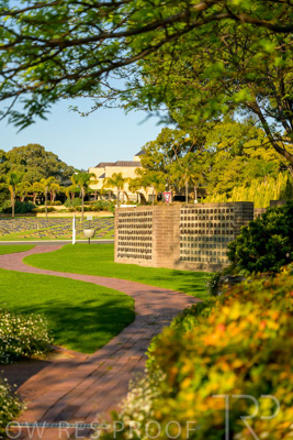 September 2023 / Springbank-West_230928_Z9C2589