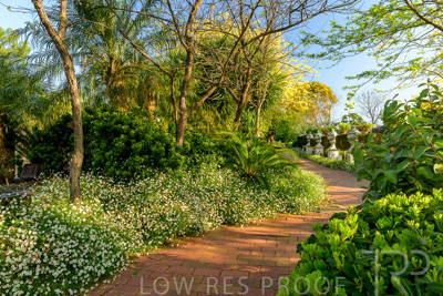 September 2023 / Springbank-West_230928_Z9C2607