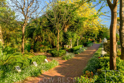 September 2023 / Springbank-West_230928_Z9C2610