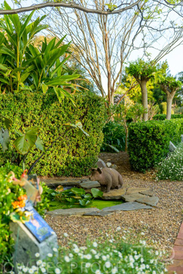 September 2023 / Springbank-West_230928_Z9C2616