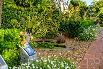 September 2023 / Springbank-West_230928_Z9C2619