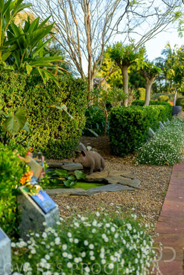 September 2023 / Springbank-West_230928_Z9C2622