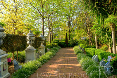 September 2023 / Springbank-West_230928_Z9C2628