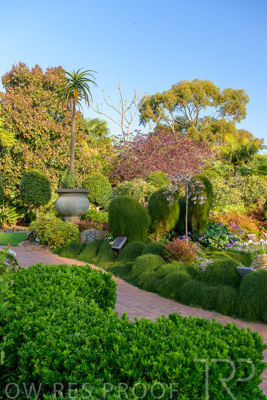 September 2023 / Springbank-West_230928_Z9C2631