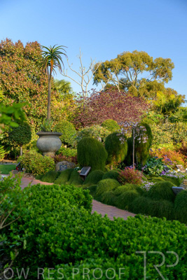 September 2023 / Springbank-West_230928_Z9C2637