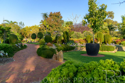 September 2023 / Springbank-West_230928_Z9C2643