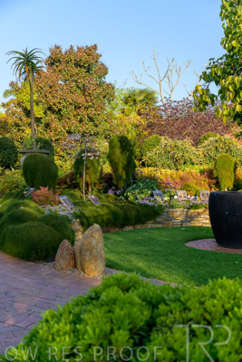 September 2023 / Springbank-West_230928_Z9C2646