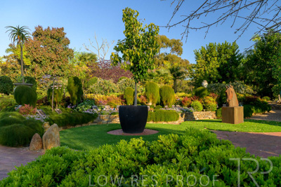 September 2023 / Springbank-West_230928_Z9C2655