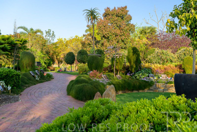 September 2023 / Springbank-West_230928_Z9C2667