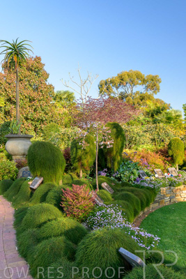 September 2023 / Springbank-West_230928_Z9C2670