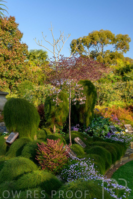 September 2023 / Springbank-West_230928_Z9C2673