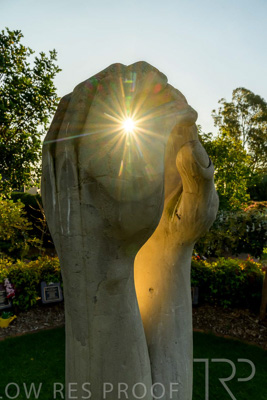 September 2023 / Springbank-West_230928_Z9C2721