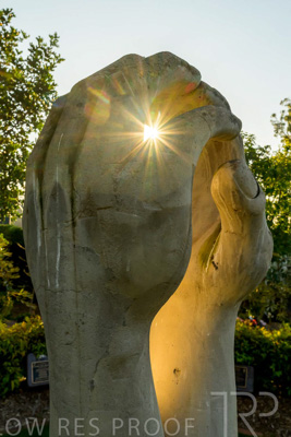 September 2023 / Springbank-West_230928_Z9C2736