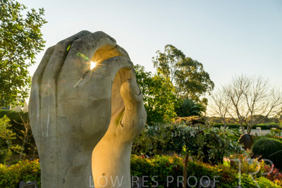 September 2023 / Springbank-West_230928_Z9C2754