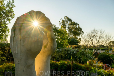 September 2023 / Springbank-West_230928_Z9C2760