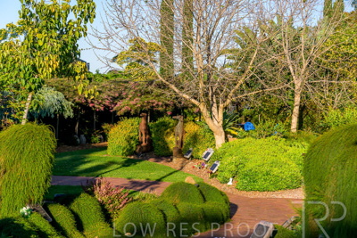 October 2023 / Springbank-West_231011_Z9C9628