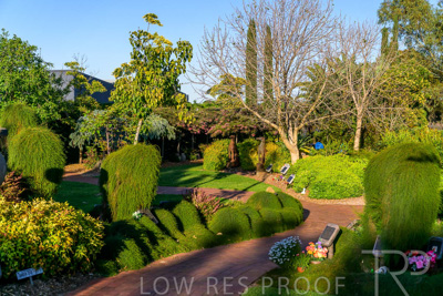 October 2023 / Springbank-West_231011_Z9C9634