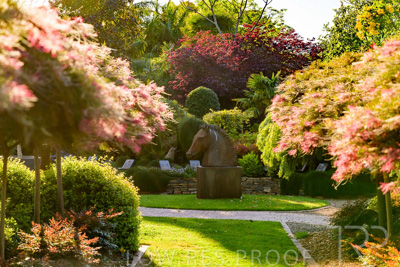 October 2023 / Springbank-West_231011_Z9C9676