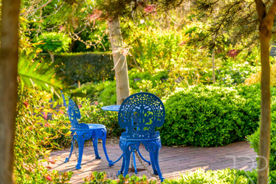 October 2023 / Springbank-West_231011_Z9C9679