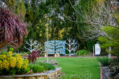 September 2023 / Tree-of-Life_230928_Z9C3213