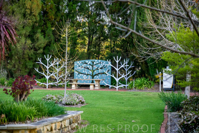 September 2023 / Tree-of-Life_230928_Z9C3216