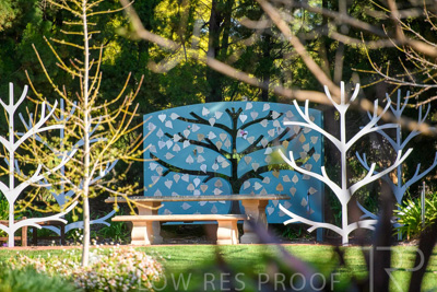 September 2023 / Tree-of-Life_230929_85E2501