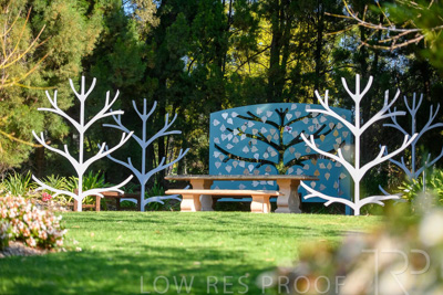 September 2023 / Tree-of-Life_230929_85E2510