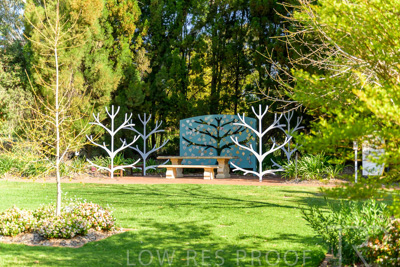 September 2023 / Tree-of-Life_230929_Z9C4089