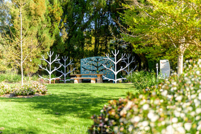 September 2023 / Tree-of-Life_230929_Z9C4092