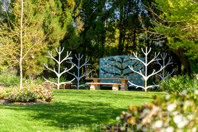 September 2023 / Tree-of-Life_230929_Z9C4095