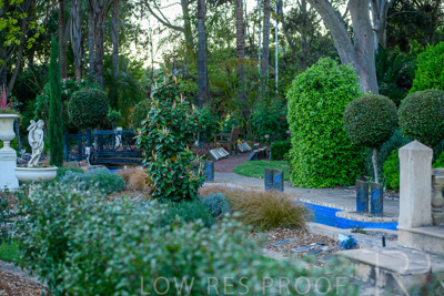 October 2023 / Tuscan-Tropical-Herb-Garden_231011_85E2682