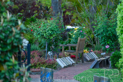 October 2023 / Tuscan-Tropical-Herb-Garden_231011_85E2685