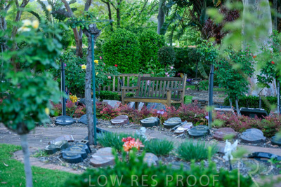 October 2023 / Tuscan-Tropical-Herb-Garden_231011_85E2694