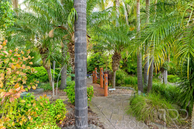 October 2023 / Tuscan-Tropical-Herb-Garden_231011_Z9C9505