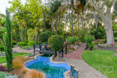 October 2023 / Tuscan-Tropical-Herb-Garden_231011_Z9C9523