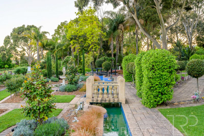 October 2023 / Tuscan-Tropical-Herb-Garden_231011_Z9C9541