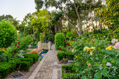 October 2023 / Tuscan-Tropical-Herb-Garden_231011_Z9C9553